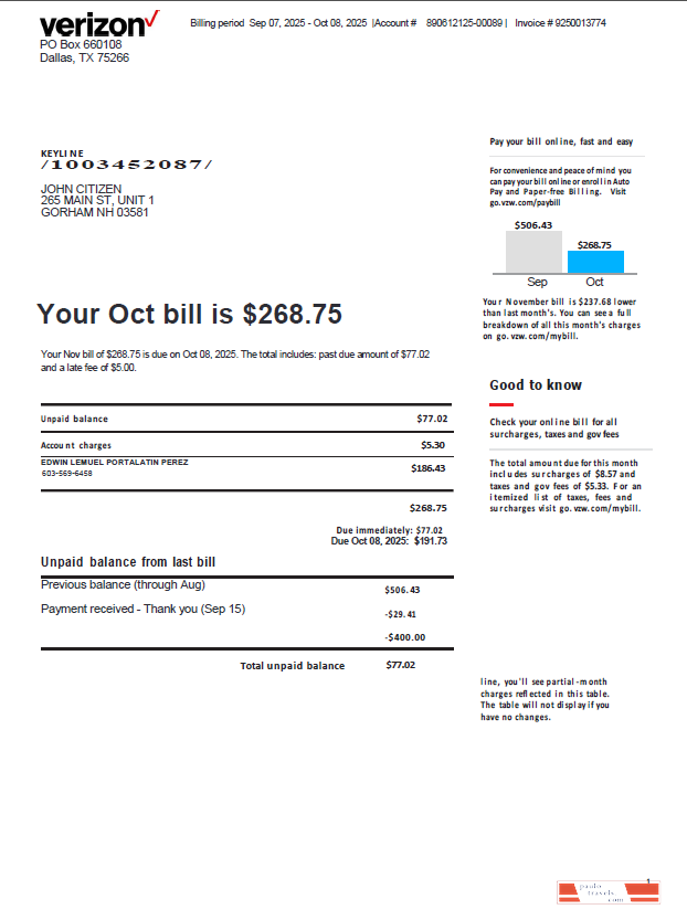 USA Verizon utility bill template in Word and PDF formats, version 3
